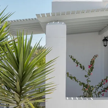 Michalios Cycladic Apartments Apartman