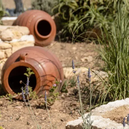 ホテル Michalios Luxury Koufonisia