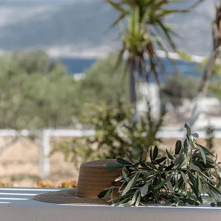 Michalios Cycladic Apartment Koufonisia